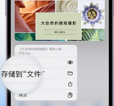 通江apple维修中心分享iPhone文件应用中存储和找到下载文件