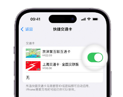 通江apple维修点分享iPhone上更换Apple Pay快捷交通卡手绘卡面 