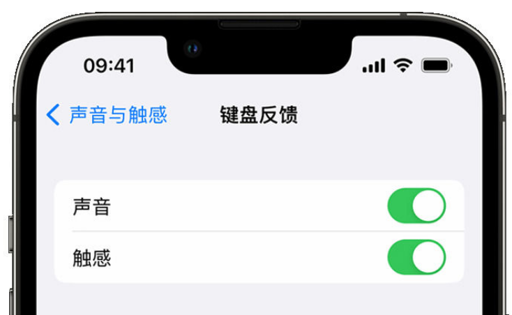 通江苹果手机维修分享iPhone 14触感键盘使用方法 