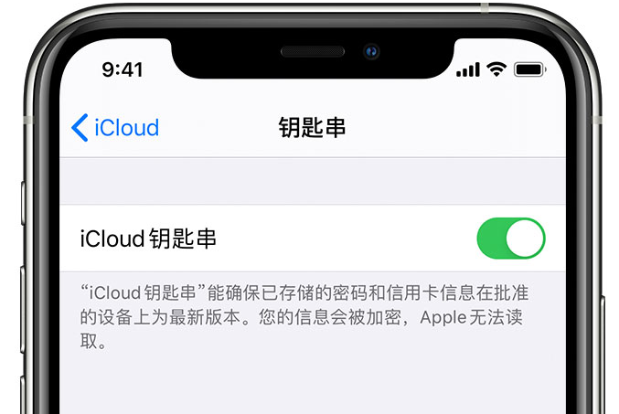 通江苹果手机维修分享在 iPhone 上开启 iCloud 钥匙串之后会储存哪些信息 