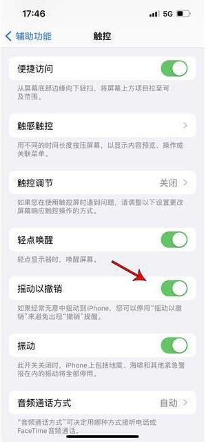 通江苹果手机维修分享iPhone手机如何设置摇一摇删除文字 